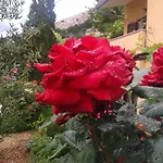 Studio Stara Baška