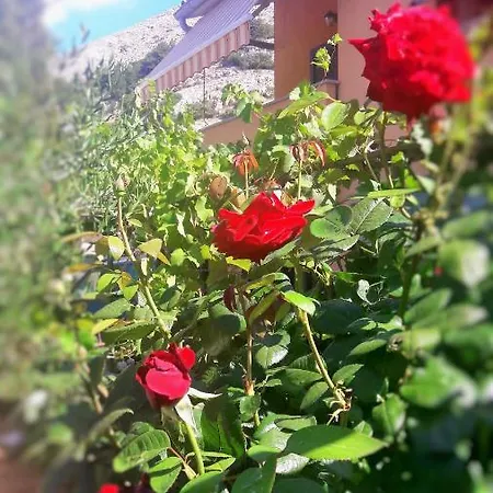 Studio * Stara Baška