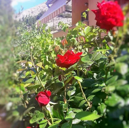 Studio * Stara Baška